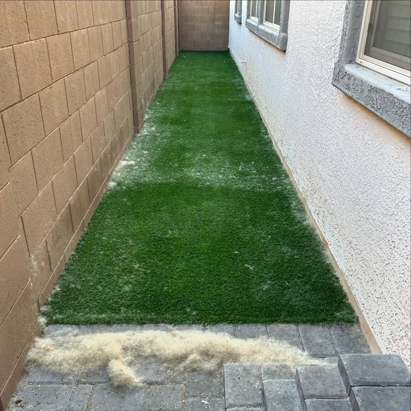 Debris Removal