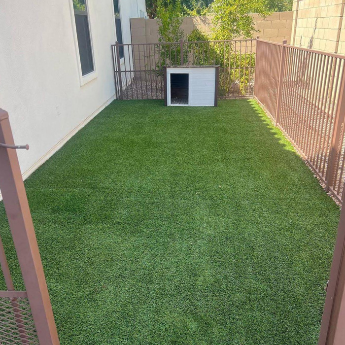 Pet-Friendly-Turf-Cleaning