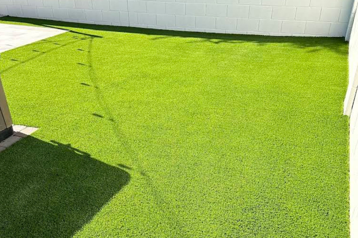 dani-c-turf-cleaning